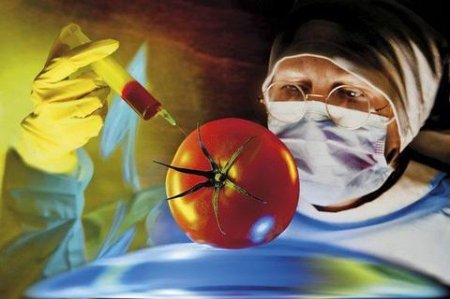 Нанотехнологии в пищевой промышленности