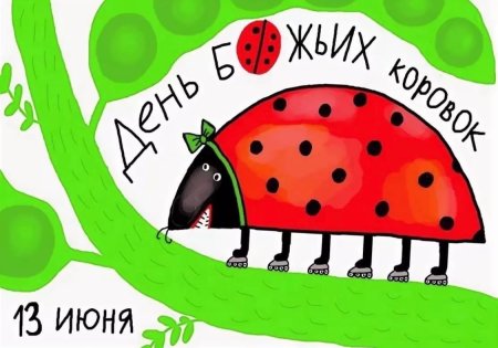 13 Июня день Божьих коровок