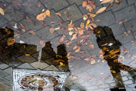 День отражений в лужах 9 октября