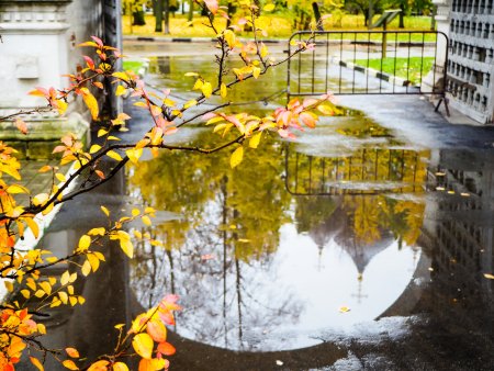 Осенние перезвоны