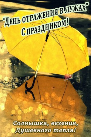 День отражения в лужах картинки с надписью