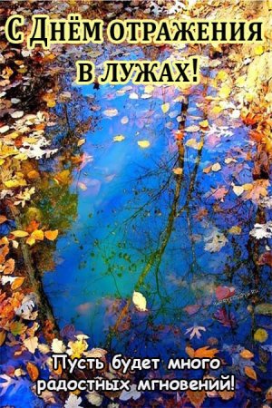 С днём отражения в лужах открытки