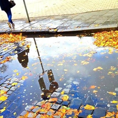 Отражение домов в луже