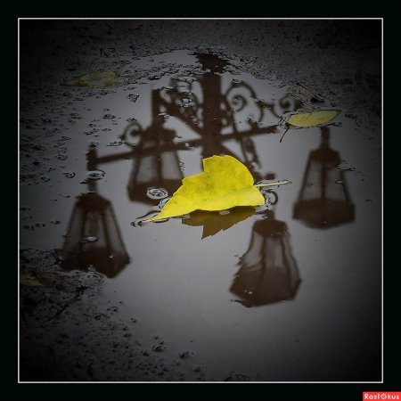 Отражение в луже