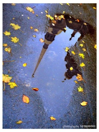 Звезды в лужах