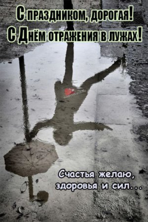 С днём отражения в лужах открытки