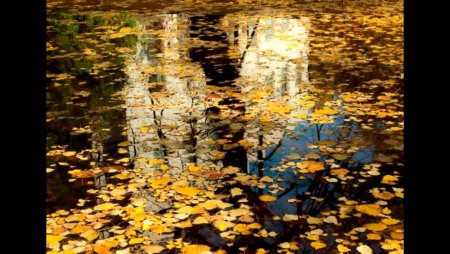 Отражение в луже живопись