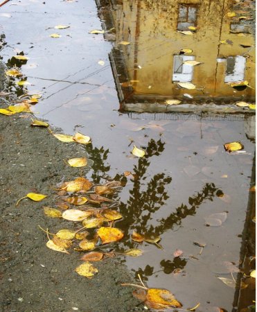 Отражение в луже