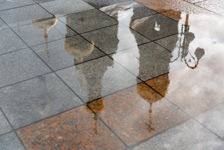 Перевернутое отражение в луже