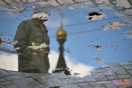 Отражение в луже