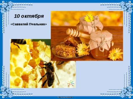 Савватий Пчельник 10 октября