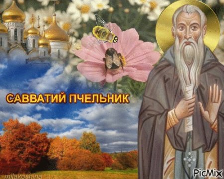 10 Октября день Савватия (Савватий Пчельник)