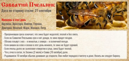 10 Октября день Савватия (Савватий Пчельник)