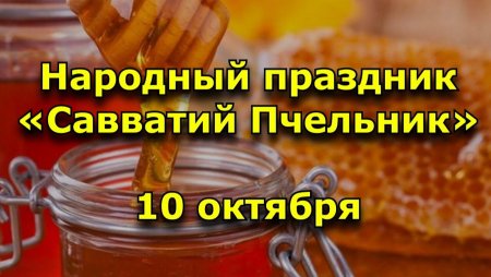 Савватий Пчельник праздник