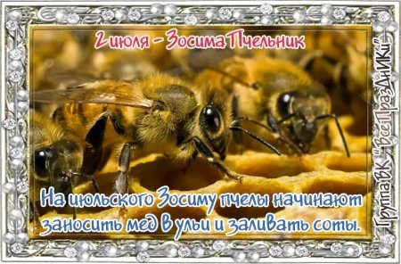2 Июля Зосима Пчельник день Пасечника