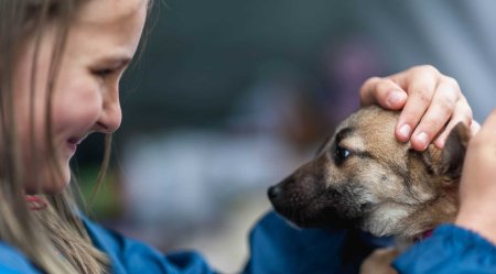 20 Августа день бездомных животных