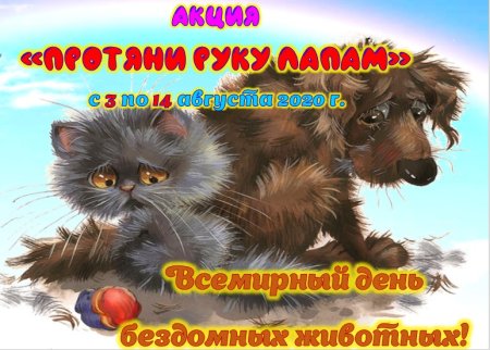 Всемирный день бездомных животных 2020