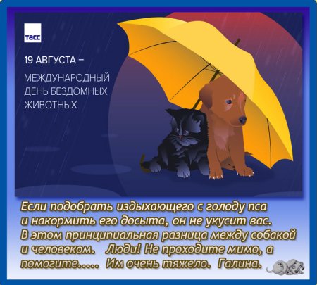 Всемирный день бездомных