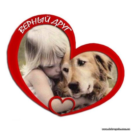 Защита животных