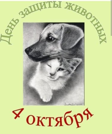 День защиты животных