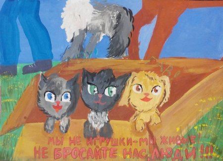 Бездомные животные рисунки детей