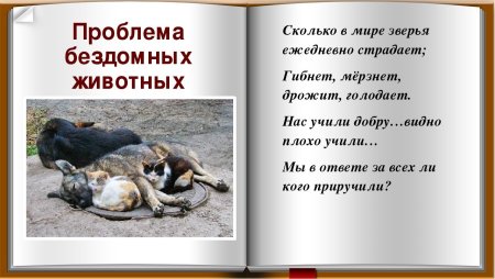 Стихи о защите животных