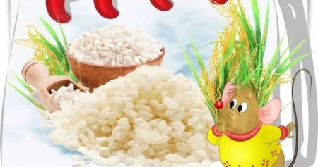 Всемирный день риса