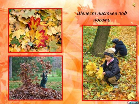 Шелест осенних листьев