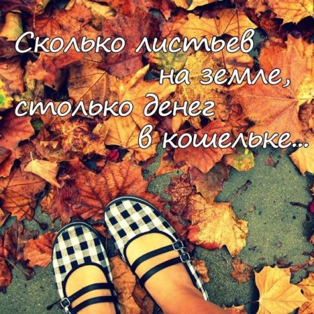 Всемирный день шуршания листьями