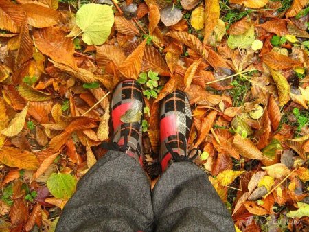 Ноги в листве осенней