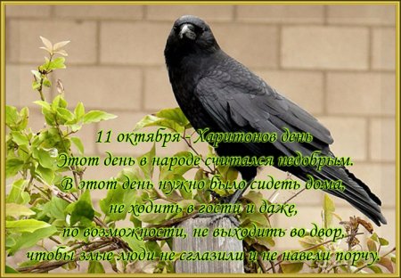 Харитонов день 11 октября