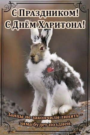 Харитонов день 11 октября приметы