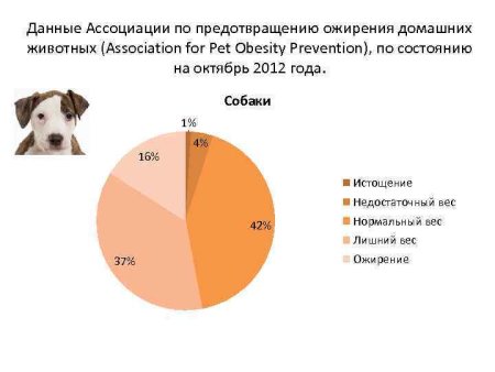Статистика заболеваемости собак