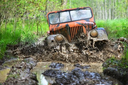 Езда по бездорожью