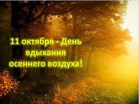 День вдыхания осеннего воздуха 11 октября картинки