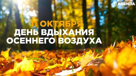 День вдыхания осеннего воздуха