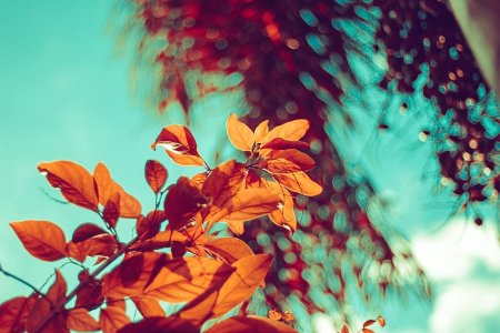 Это лето как осень