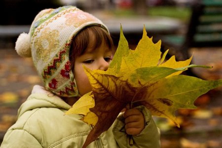День вдыхания осеннего воздуха