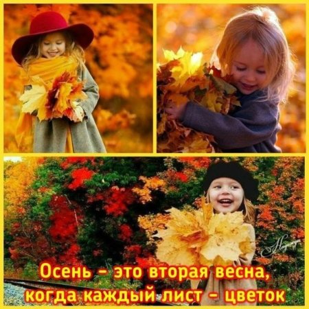 День вдыхания осеннего воздуха