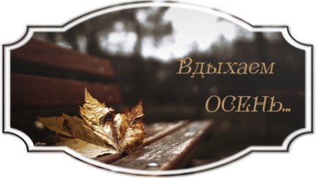 День вдыхания осеннего воздуха 11