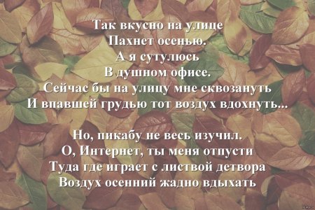 День вдыхания осеннего воздуха 11 октября