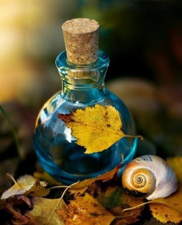 Осенние ароматы