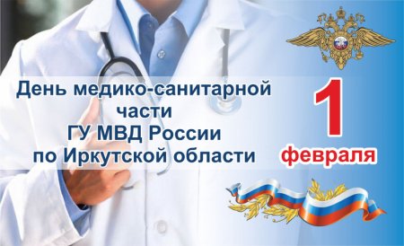 День МСЧ МВД России