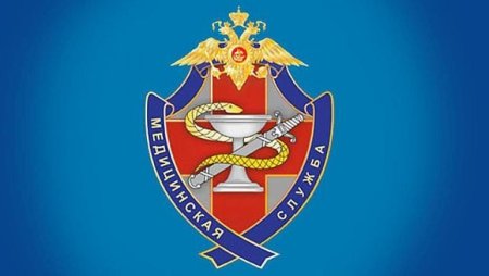 Герб МСЧ МВД России