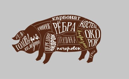 Схема разделки свиной туши вектор