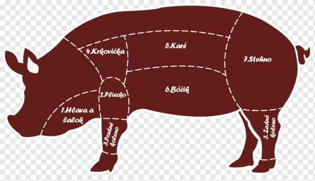 Схема разруба туши свинины