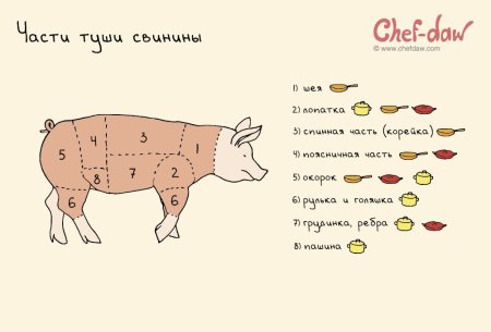Разделка туши свиньи схема