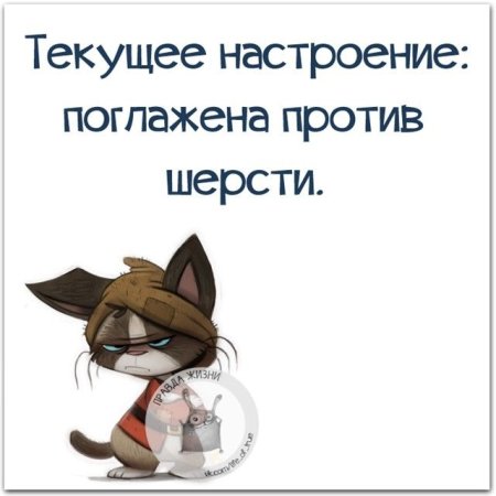 Юмор про женское настроение