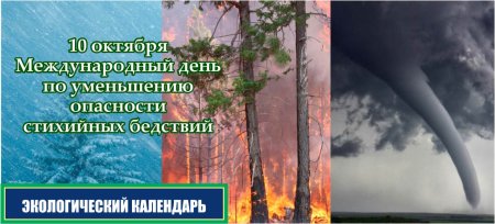 Международный день по уменьшению опасности стихийных бедствий