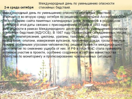 Международный день по уменьшению опасности стихийных бедствий